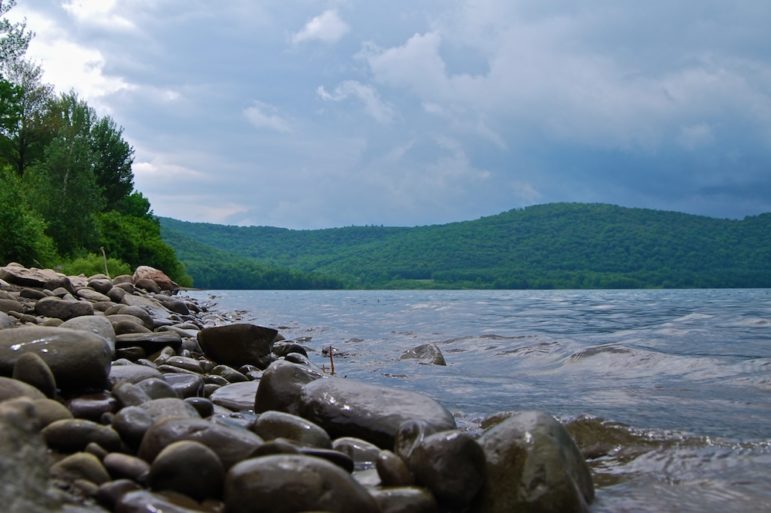 The Cannonsville Reservoir, the city's third-largest, was at 20 percent capacity on December 1. But other reservoirs in the sprawling city watershed system are much fuller.