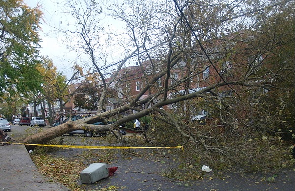 Storm damage on East 21st Street