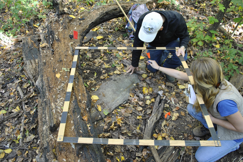 Researchers Alex Wong and Clara Pregitzer from the Natural Areas Conservancy scrutinize a one-meter-square area as part of a two-year project to catalogue the health and character of all 10,000 of wild areas in New York City parks.