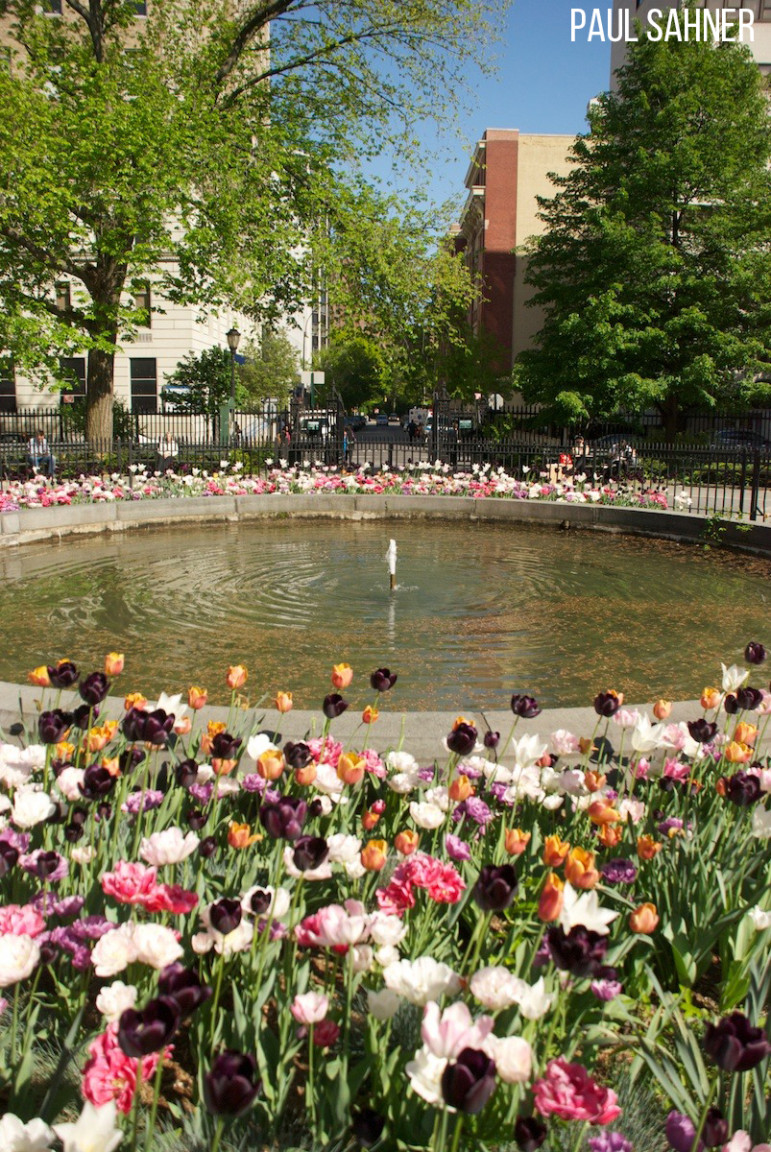 Stuyvesant-Square-Flowers-long