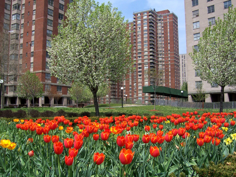 The massive Co-op City complex in the Bronx was built under the Mitchell-Lama program.