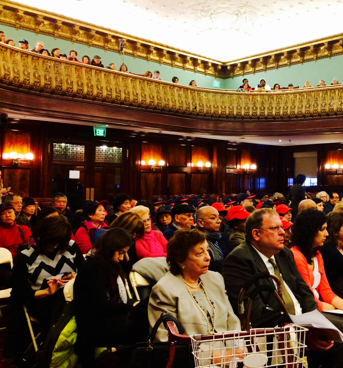 Seniors at City Hall for DFTA Hearing (2).jpg