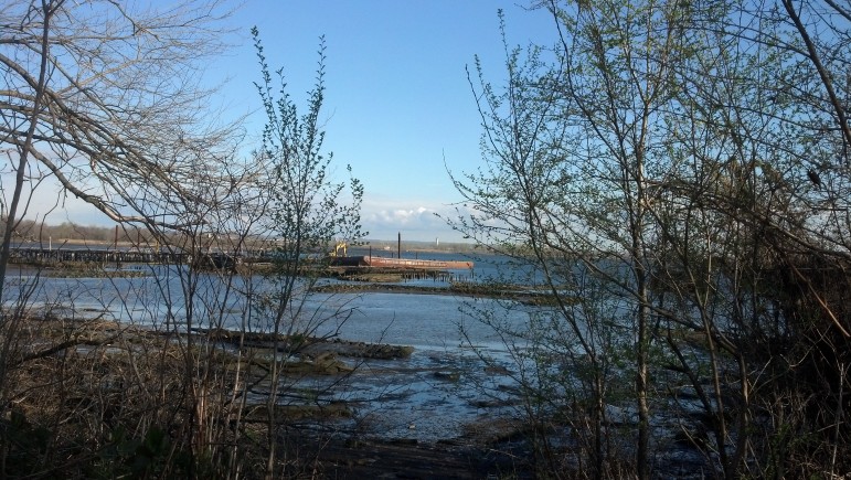 Newark Bay, seen from Staten Island. Once an active fishery, then an industrial dumping ground, the Bay has the potential to be an asset rather than a threat to the low-income communities around it.