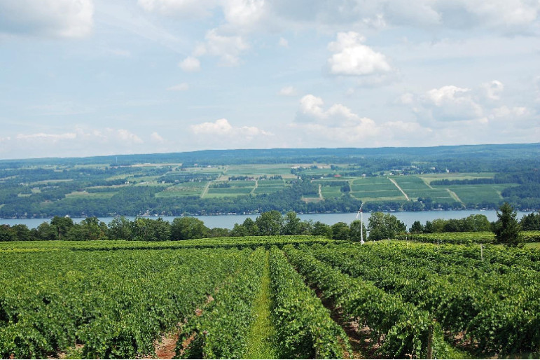 New York State farms: Pretty to look at, hard to work on.