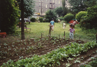 Op-Ed: Stop the Tax-Lien Sales That Will Destroy Community Gardens