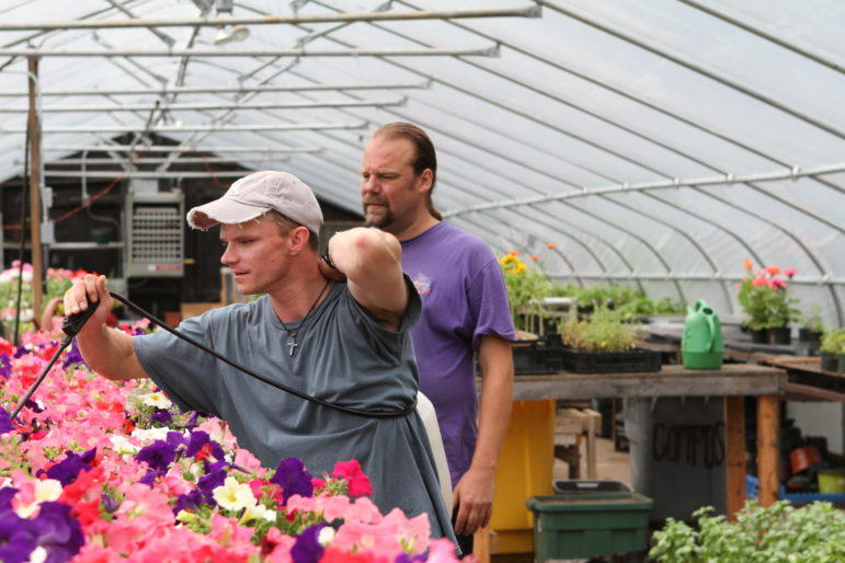 Tending the crops at Renewal Farm.