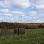 Farm in Cayuga County