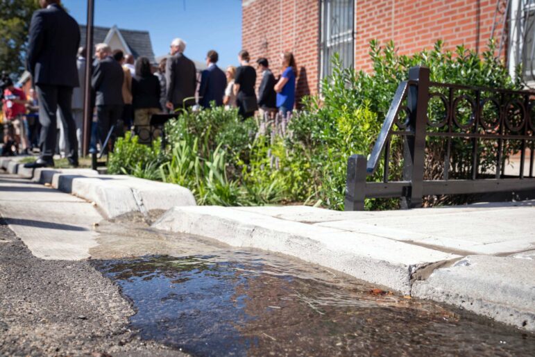 rain garden in Queens