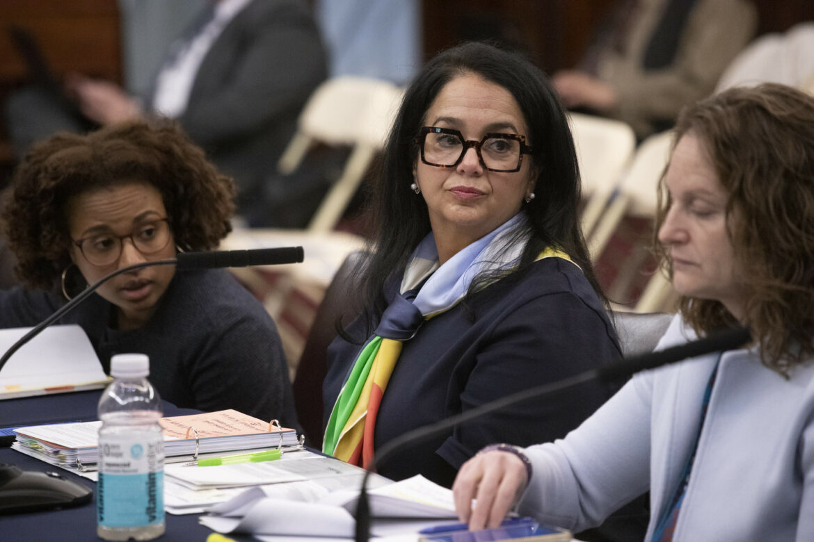 NYCHA Budget hearing security cuts